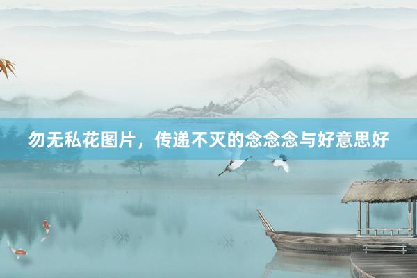 勿无私花图片，传递不灭的念念念与好意思好
